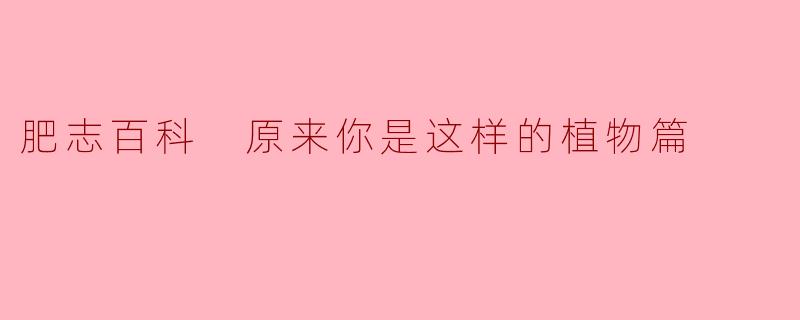 肥志百科 原来你是这样的植物篇